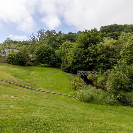 In Town, Close To Nature Apartment Dunedin Exterior photo